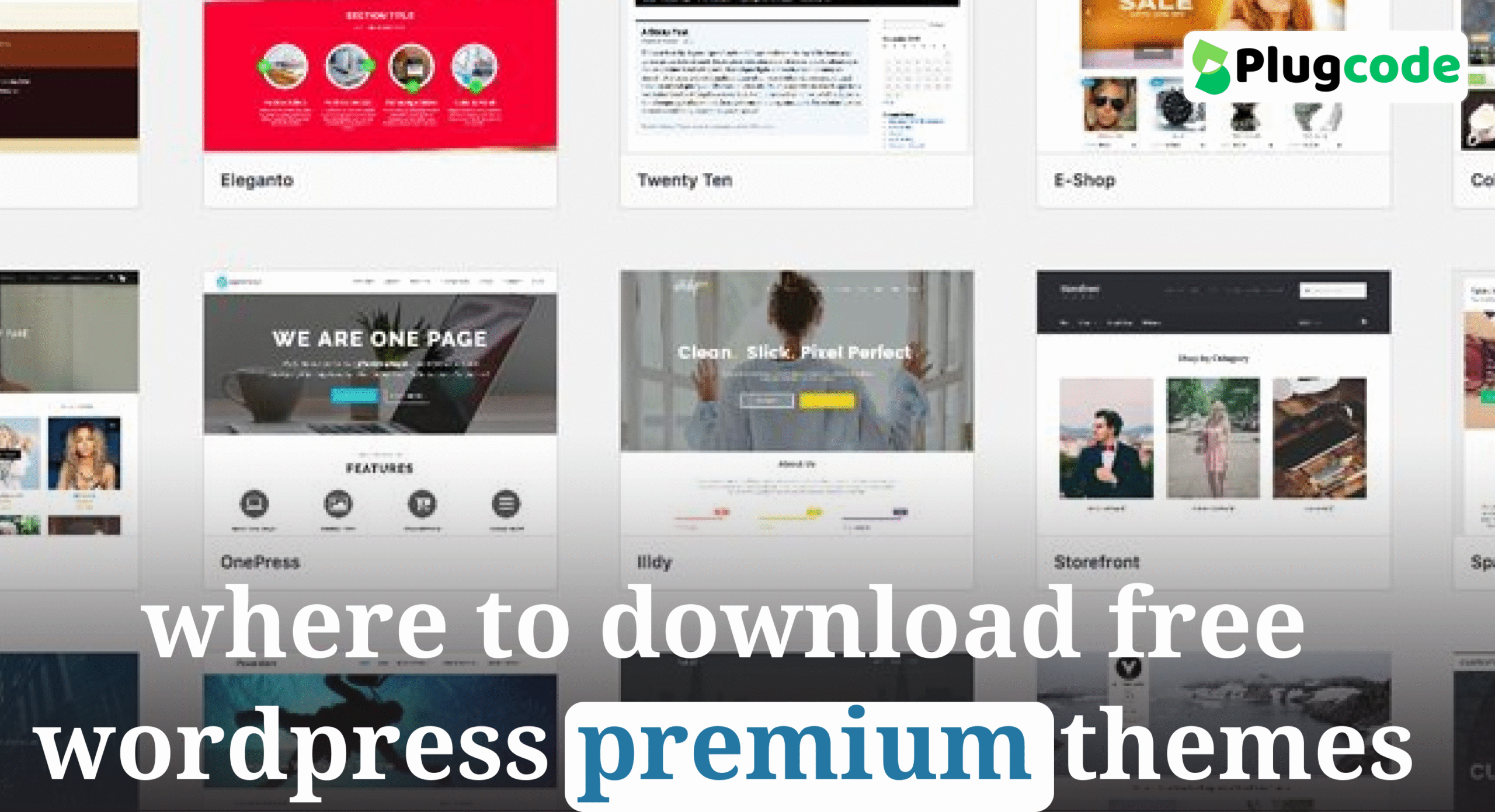 Download Free WordPress Themes on freetheme.blog